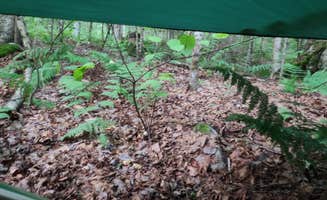 Miccal  M.'s photo at Maidstone State Park — Maidstone State Forest near Lyndonville, VT