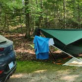 Review photo of Maidstone State Park — Maidstone State Forest by Miccal  M., July 29, 2024