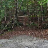 Review photo of Maidstone State Park — Maidstone State Forest by Miccal  M., July 29, 2024