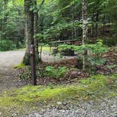 Review photo of Maidstone State Park — Maidstone State Forest by Miccal  M., July 29, 2024