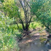 Review photo of Plum Creek Park Campground by Megan R., July 30, 2024