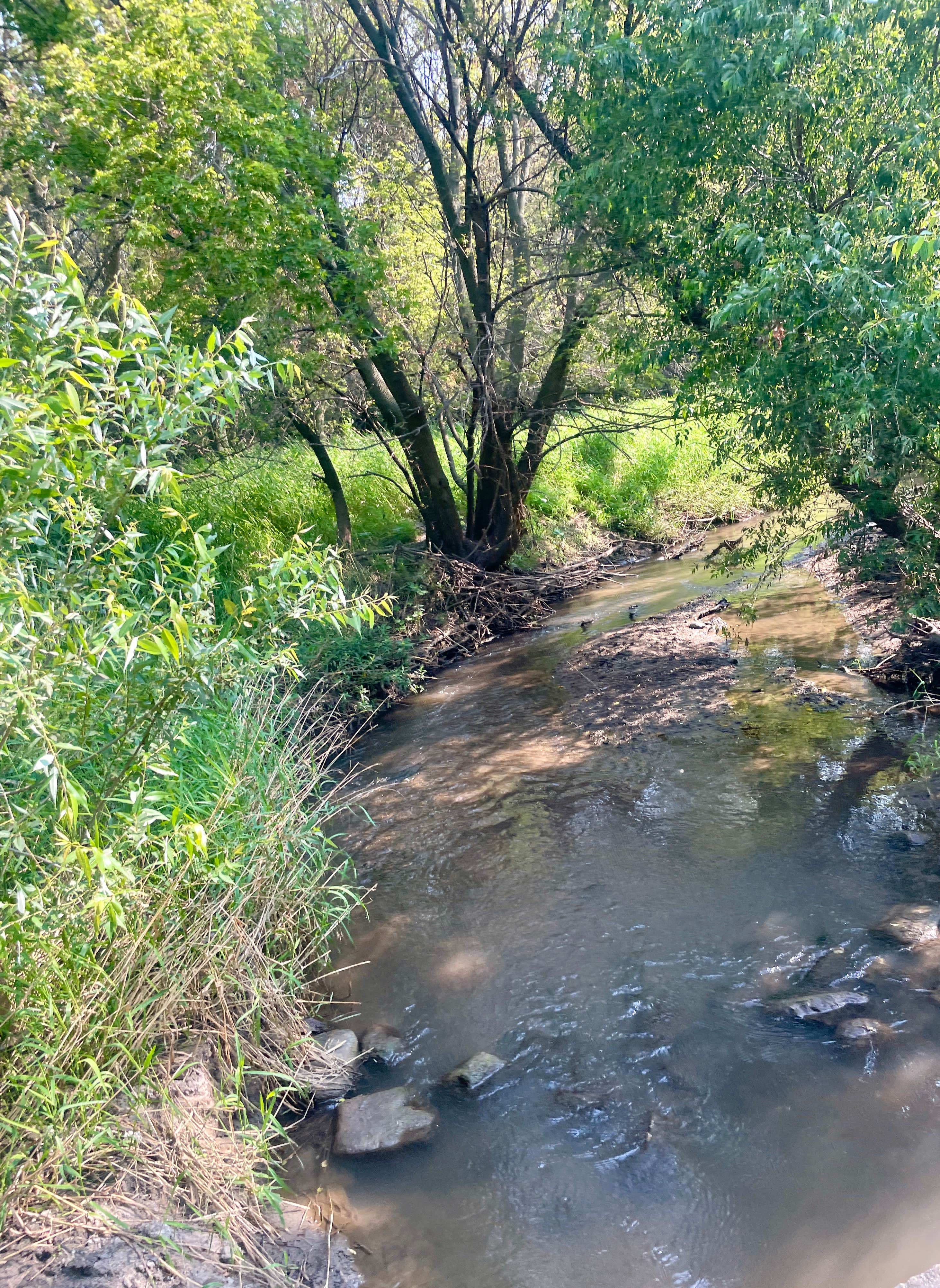 Camper submitted image from Plum Creek Park Campground - 3