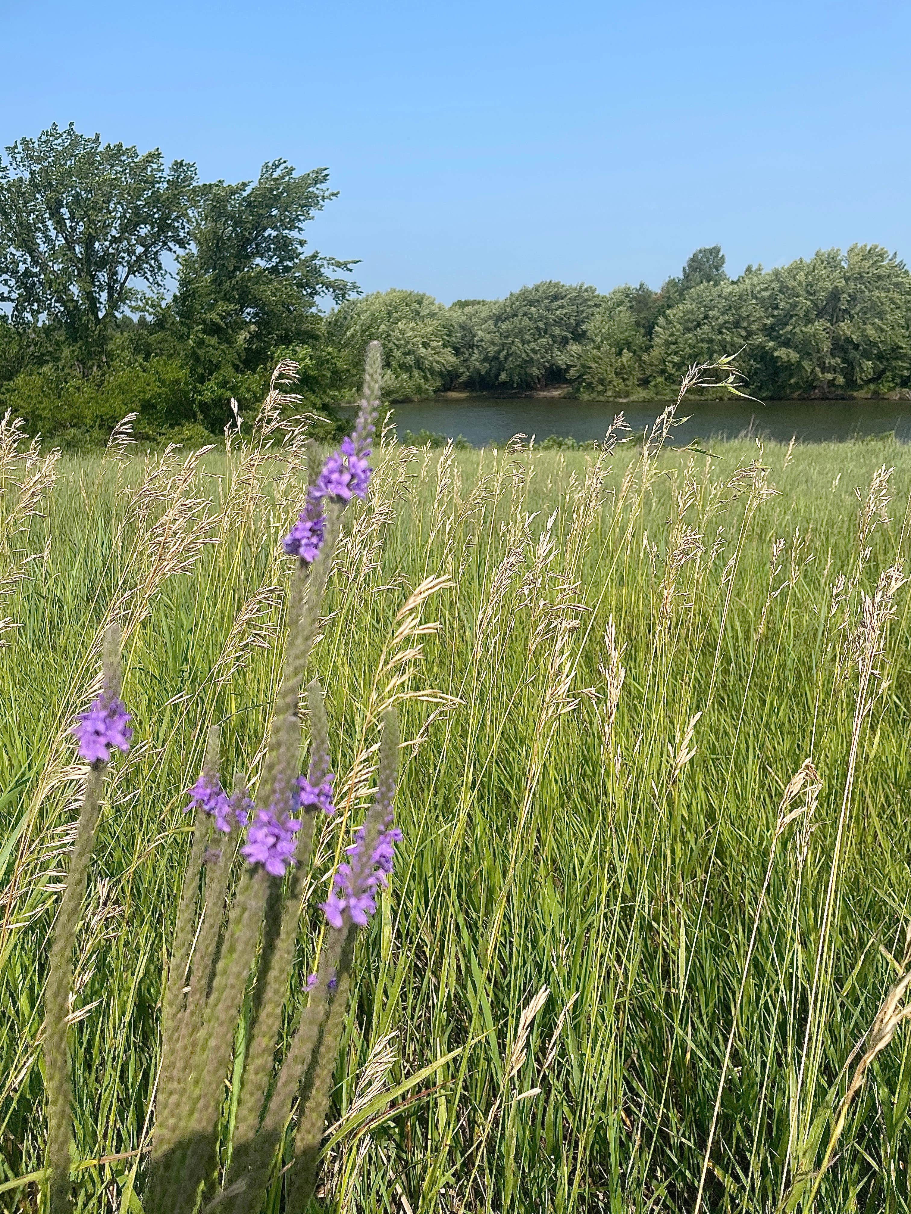 Camper-submitted photo at Plum Creek Park Campground near Redwood Falls, MN