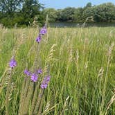 Review photo of Plum Creek Park Campground by Megan R., July 30, 2024