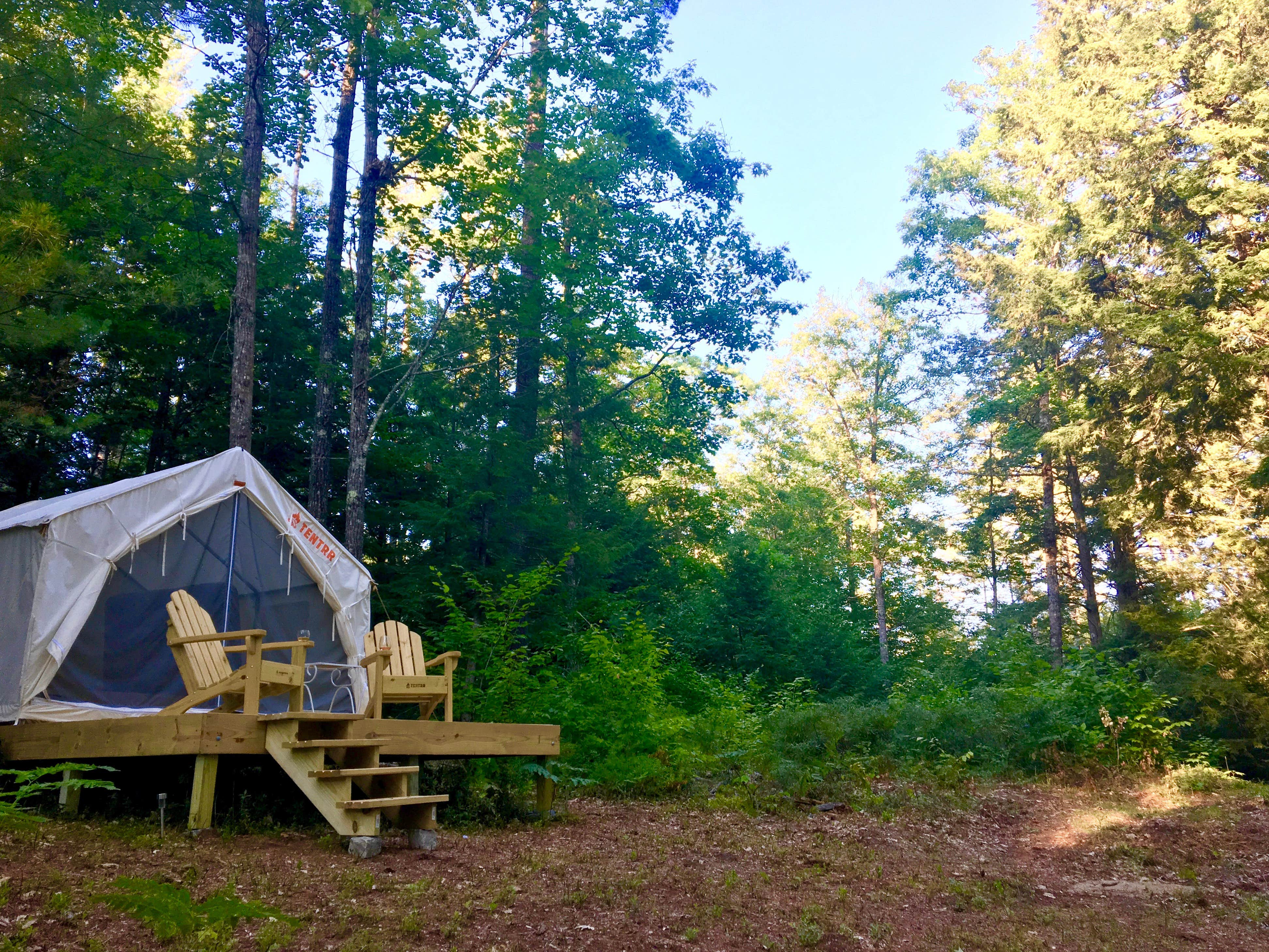 The Dyrt's photo of glamping accommodations at Topo Pino Mountain Oasis near Berlin, NH