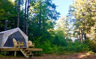The Dyrt's photo of glamping accommodations at Topo Pino Mountain Oasis near White Mountain National Forest