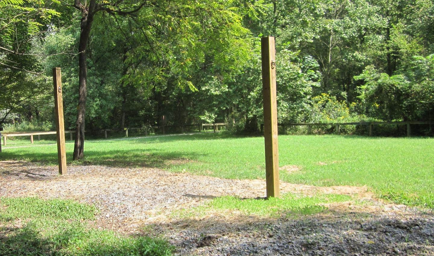Camper submitted image from Cottonwood Patch Campground - 1