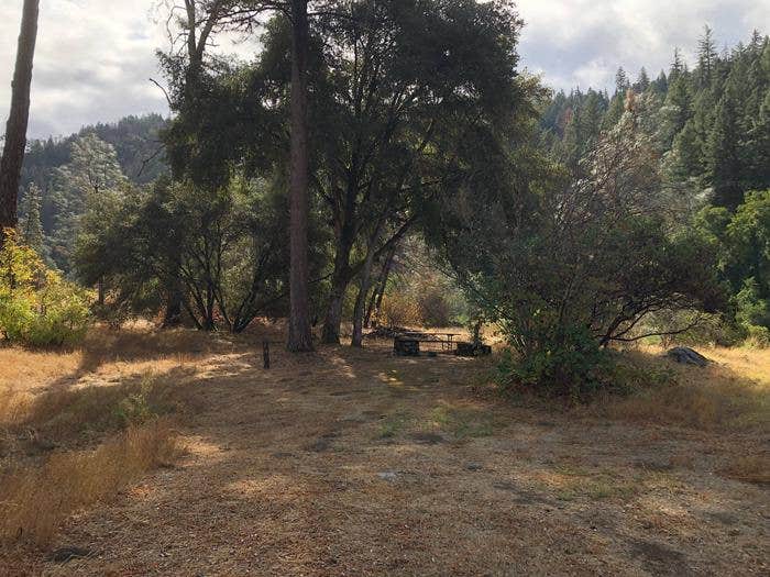 Camper submitted image from Skunk Point Group Campground — Shasta Trinity National Forest - 1