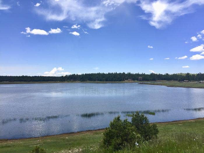 Camper submitted image from Lakeview Campground (Az) — Coconino National Forest Recreation - 1