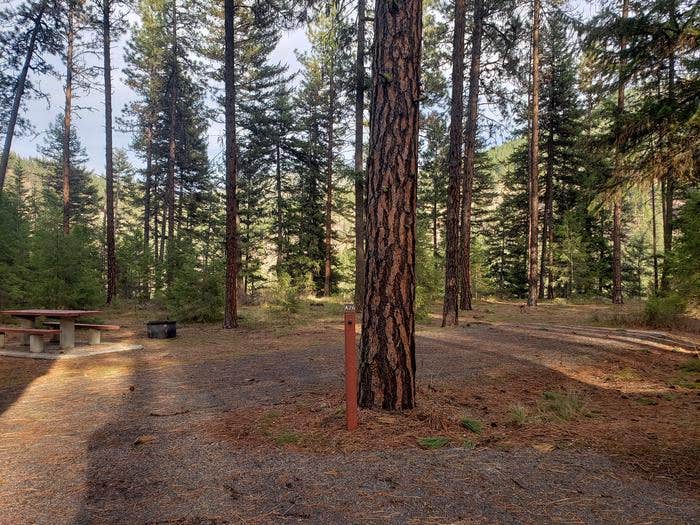 Camper submitted image from Quartz Flats Campground - 2