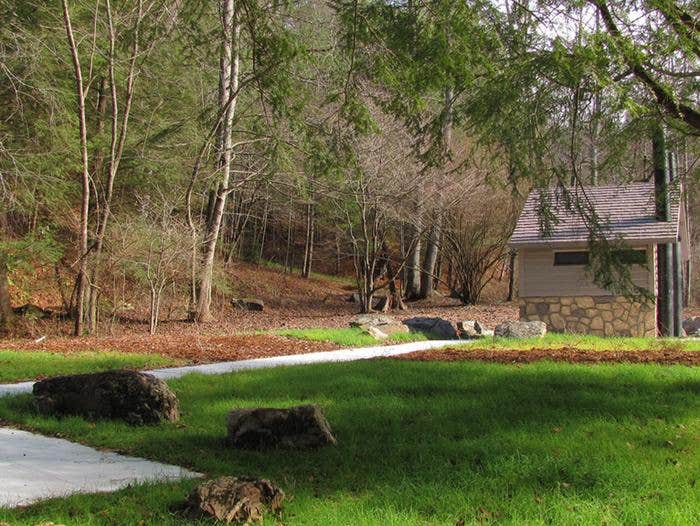 Camper submitted image from Frank Gross Campground — Chattahoochee Oconee National Forest - 1