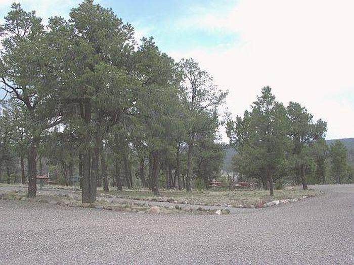 Camper submitted image from Pinon - Quemado Lake - 2