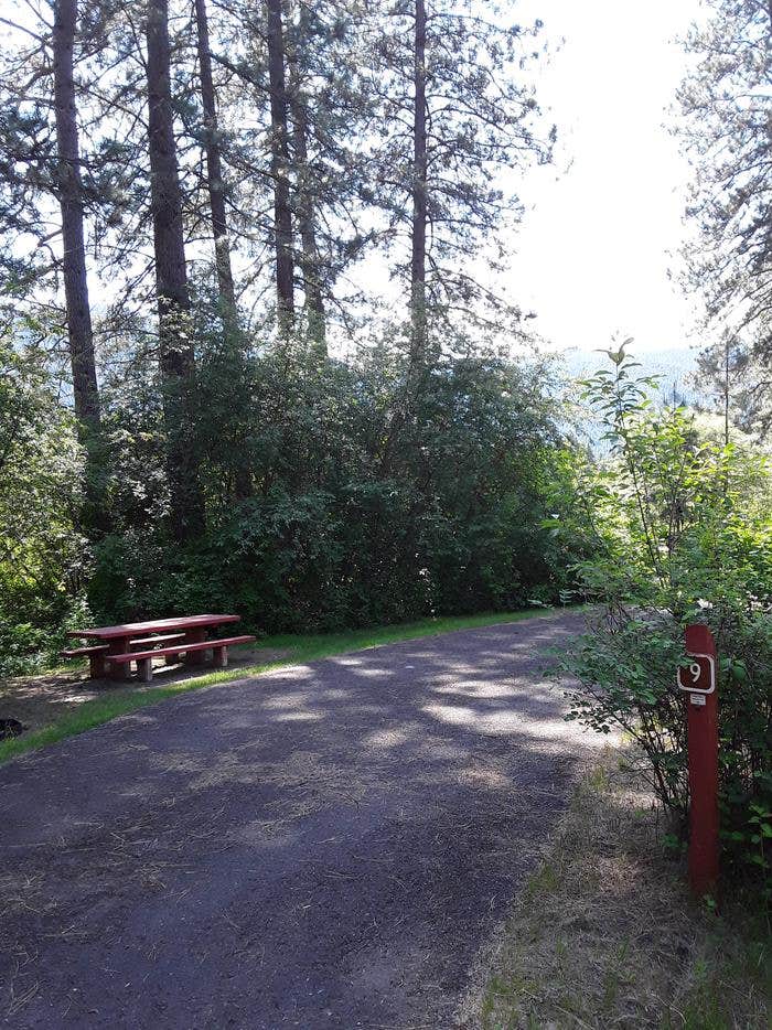 Camper submitted image from Sloway Campground (Mt) — Lolo National Forest - 2