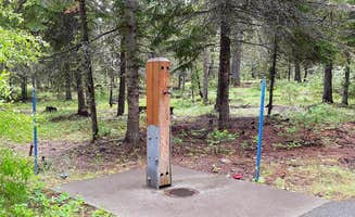 The Dyrt's photo of camping with pets at Cabin City Campground (Mt) — Lolo National Forest near Thompson Falls, MT