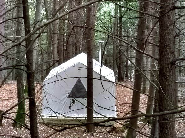 The Dyrt's photo at Trailside Camp at Greenhill near Greenfield, MA