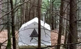 The Dyrt's photo at Trailside Camp at Greenhill near Hawley, MA