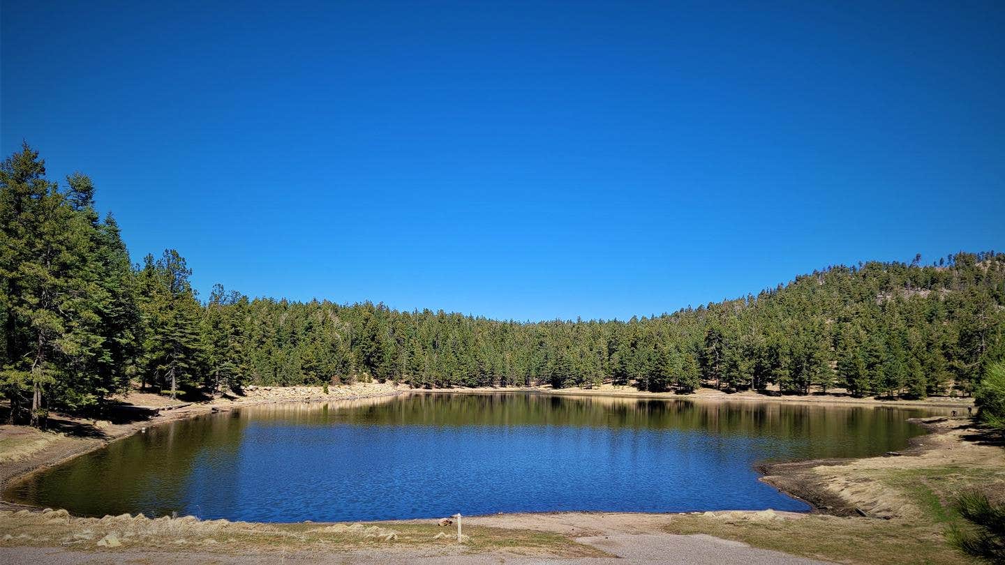 Camper submitted image from Riggs Lake — Coronado National Forest - 2