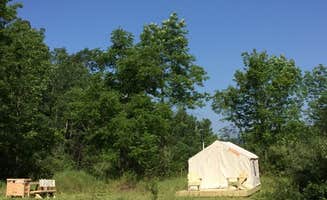 The Dyrt's photo at Home Sweet Campsite near Ithaca, NY