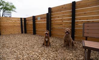 The Dyrt's photo of camping with pets at The Camp near Deschutes & Ochoco National Forests & Crooked River National Grassland