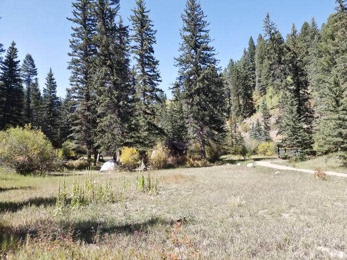 Camper submitted image from Panchuela — Santa Fe National Forest - 2