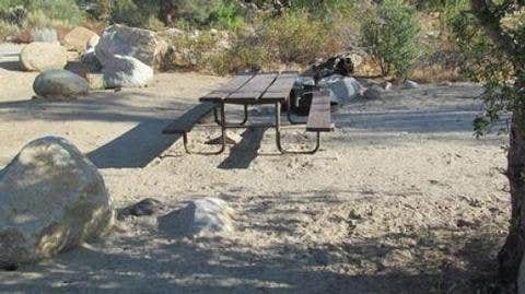 Camper submitted image from Live Oak South — Sequoia National Forest - 1
