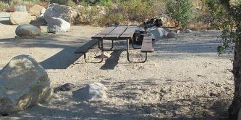 Camper submitted image from Live Oak South — Sequoia National Forest