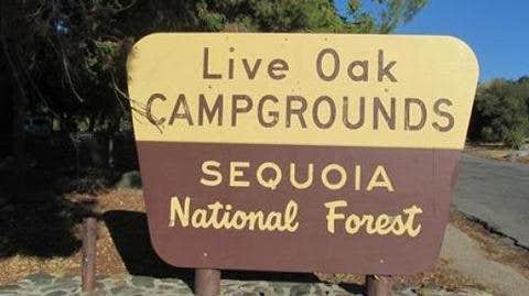 Camper-submitted photo at Live Oak South — Sequoia National Forest near Weldon, CA
