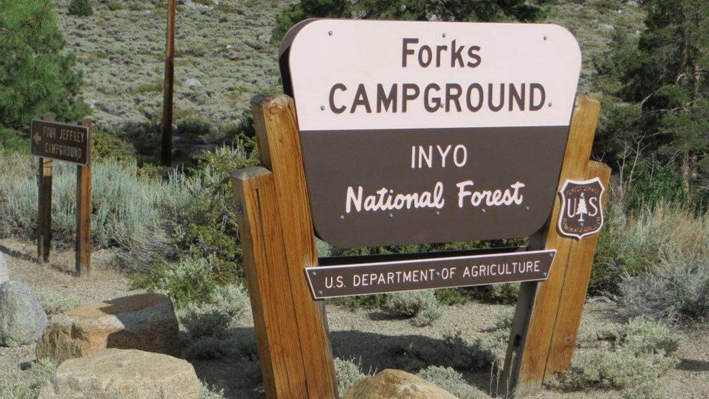 Camper submitted image from Forks Campground (Inyo) — Inyo National Forest - 1