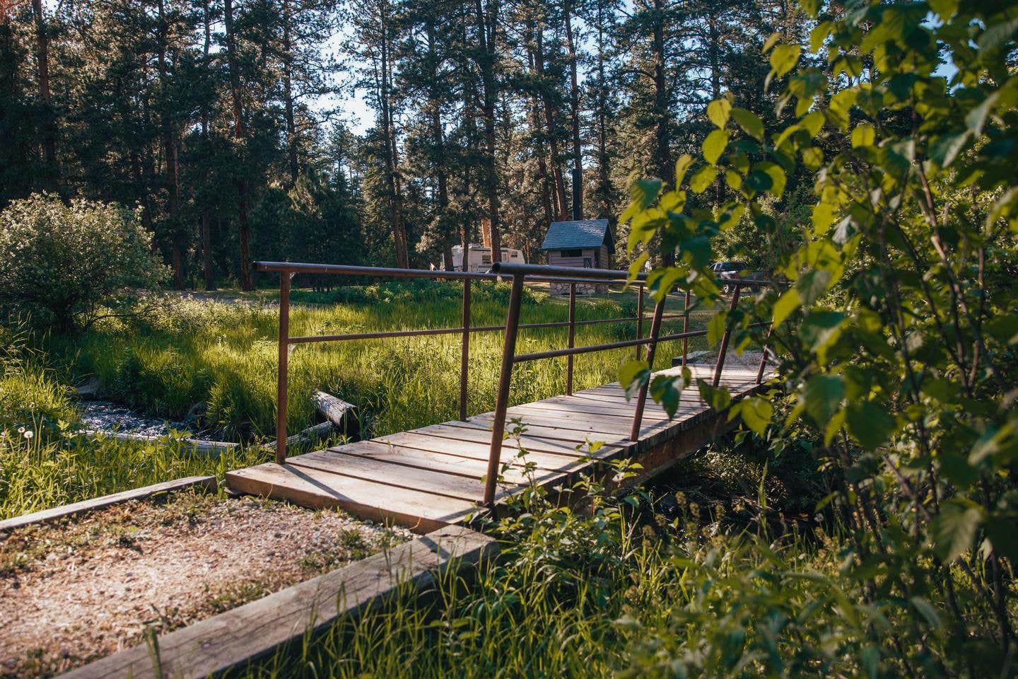 Camper submitted image from Boxelder Forks Campground — Black Hills National Forest - 1