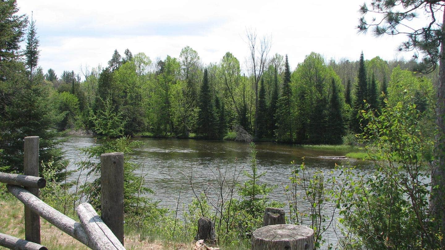 Camper submitted image from Au Sable Loop Campground — Huron Manistee National Forests - 1