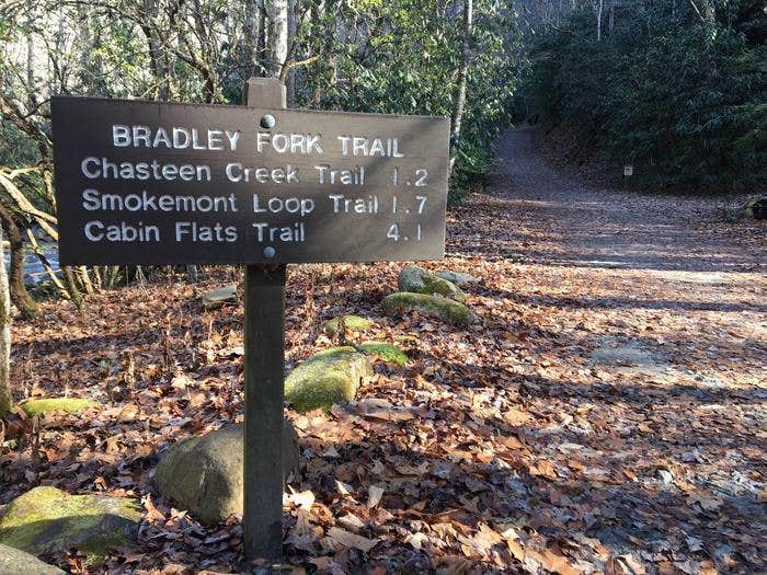 Camper submitted image from Smokemont Campground — Great Smoky Mountains National Park - 1