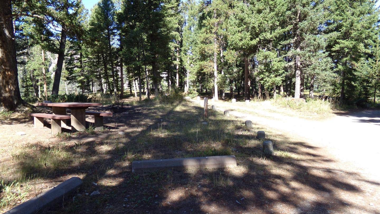Camper submitted image from Hilltop Campground (Mt) — Beaverhead Deerlodge National Forest - 1