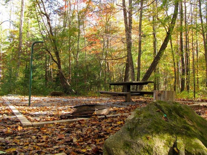 Camper submitted image from Jacks River Fields Campground — Chattahoochee Oconee National Forest - 1