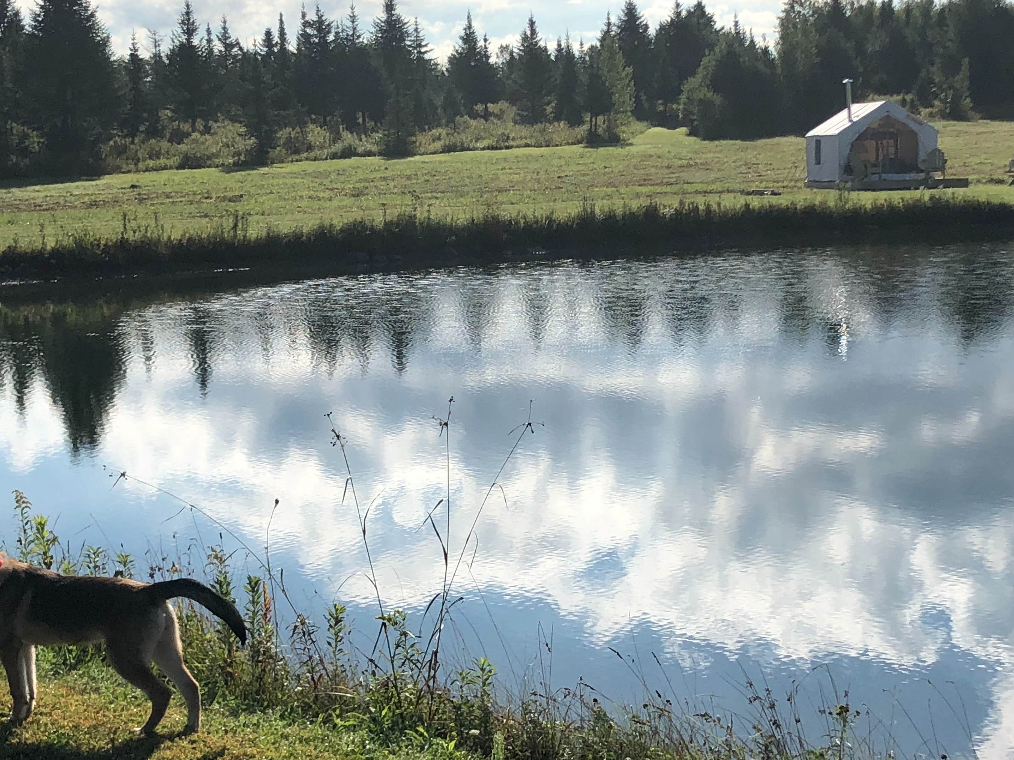 The Dyrt's photo of camping with pets at Belle Vista Farm near Swanton, VT