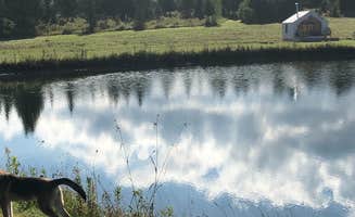 The Dyrt's photo of camping with pets at Belle Vista Farm near Jericho, VT