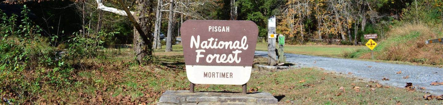 Camper submitted image from Mortimer Campground — National Forests In North Carolina - 2