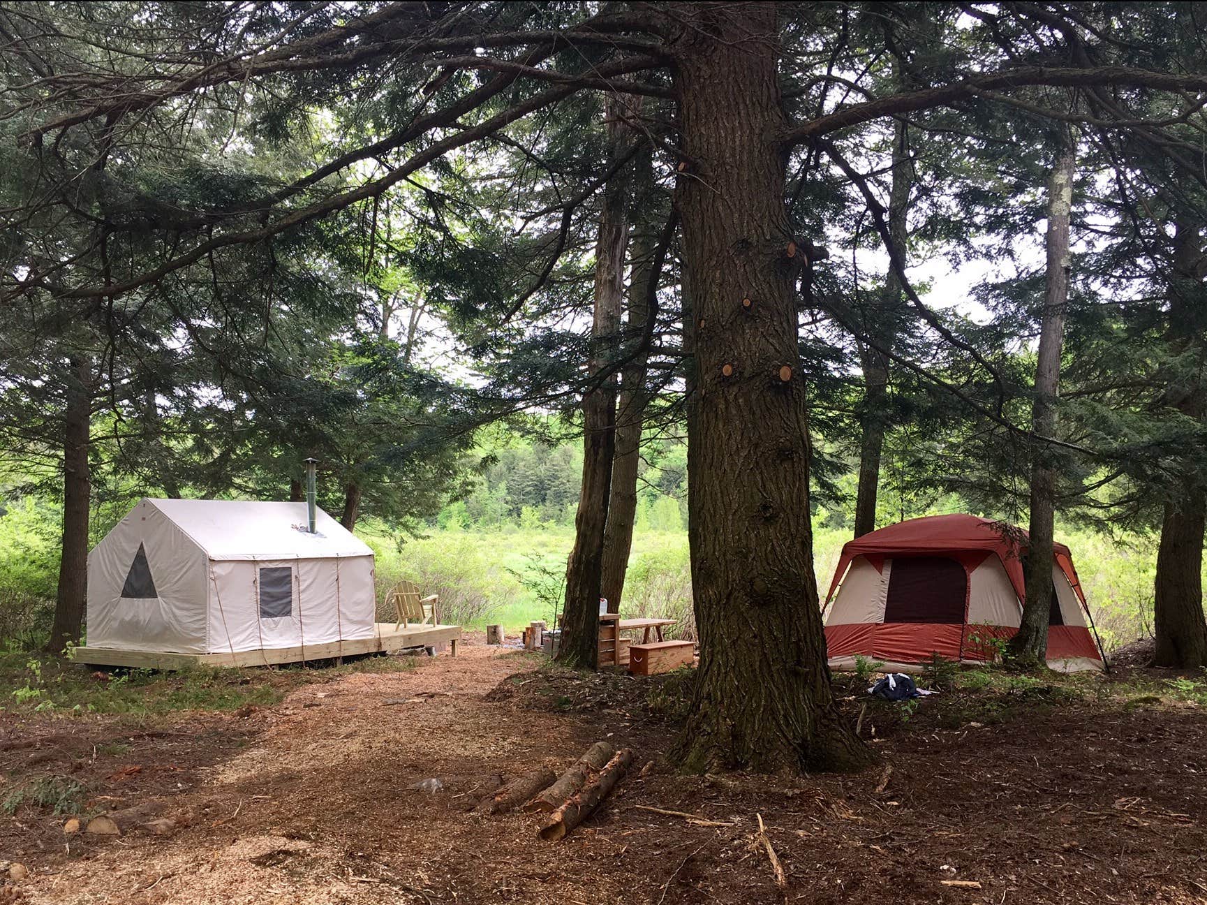 The Dyrt's photo at Beaver Pond EcoCamp near Castleton-on-Hudson, NY