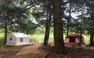The Dyrt's photo at Beaver Pond EcoCamp near Poestenkill, NY