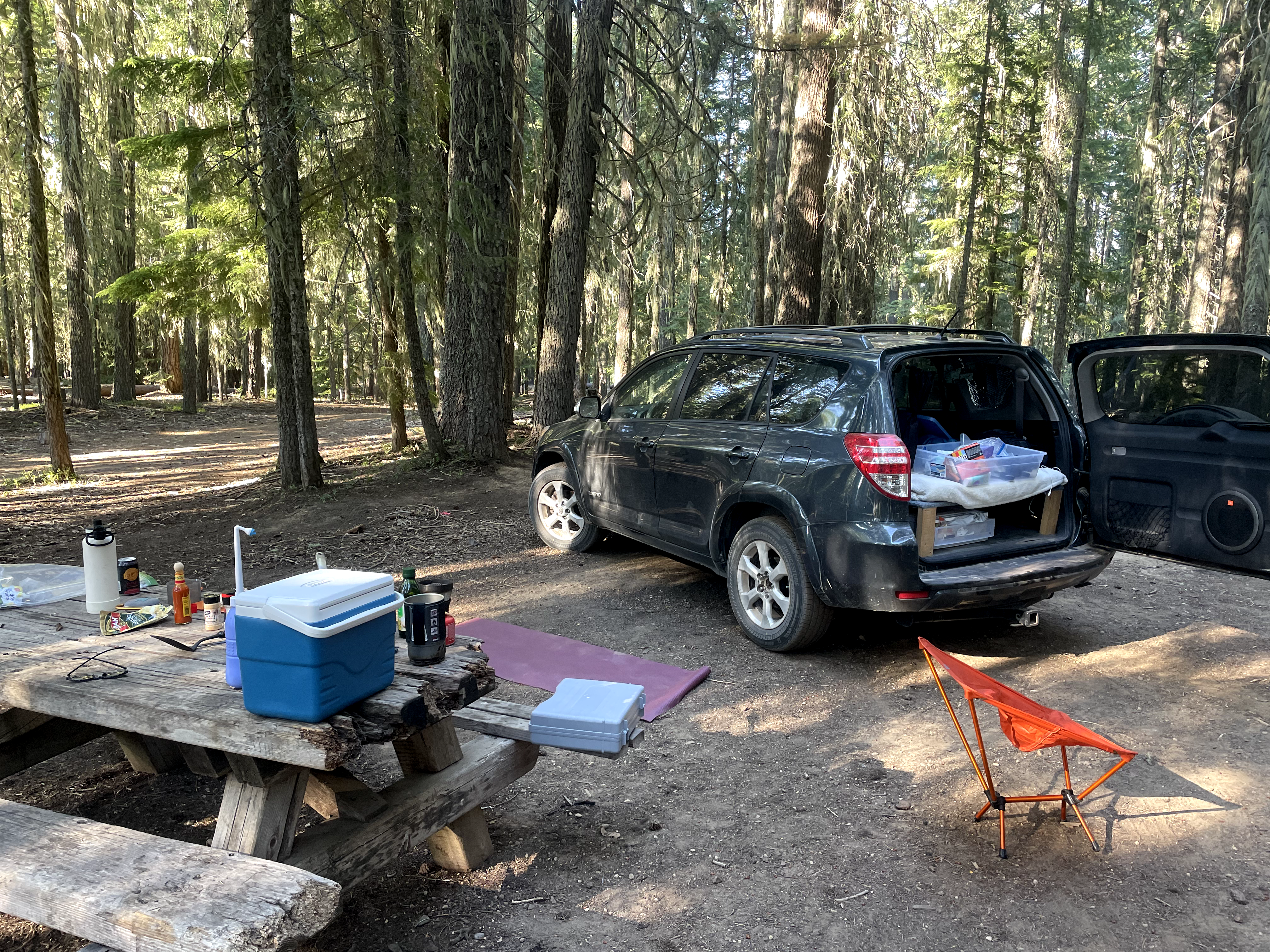 Juliana R.'s photo at Millsite Forest Dispersed Camping near Umpqua National Forest