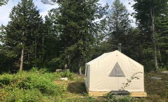 The Dyrt's photo at Hundred Acre Woods near Epsom, NH