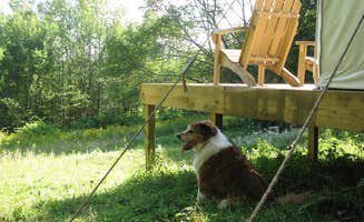 The Dyrt's photo of camping with pets at Bambi and Thumper's Hideaway near Roxbury, NY