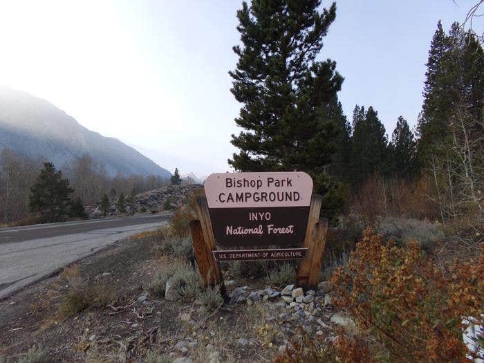 Camper submitted image from Bishop Park Campground (Ca) — Inyo National Forest - 1