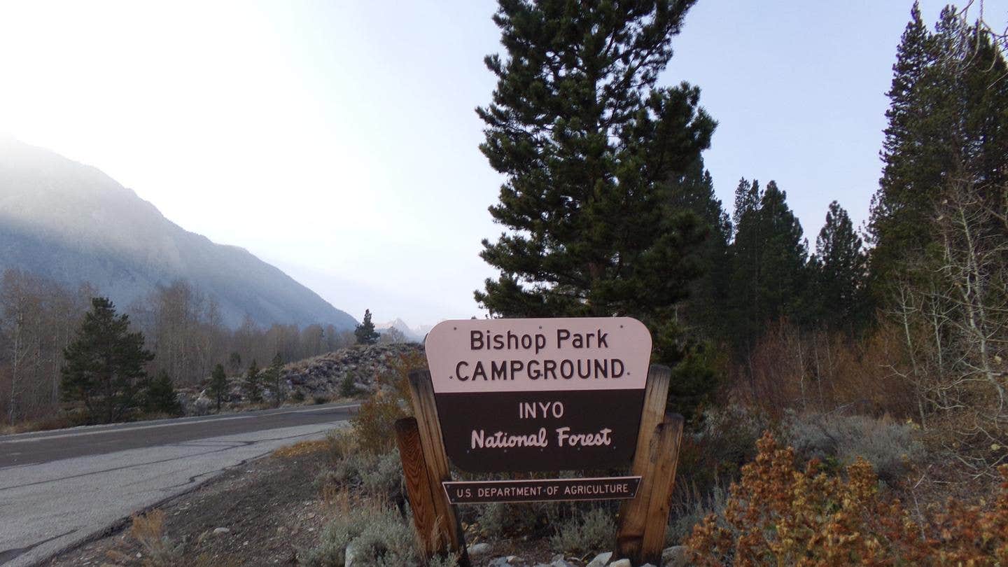 Camper submitted image from Bishop Park Campground (Ca) — Inyo National Forest - 2