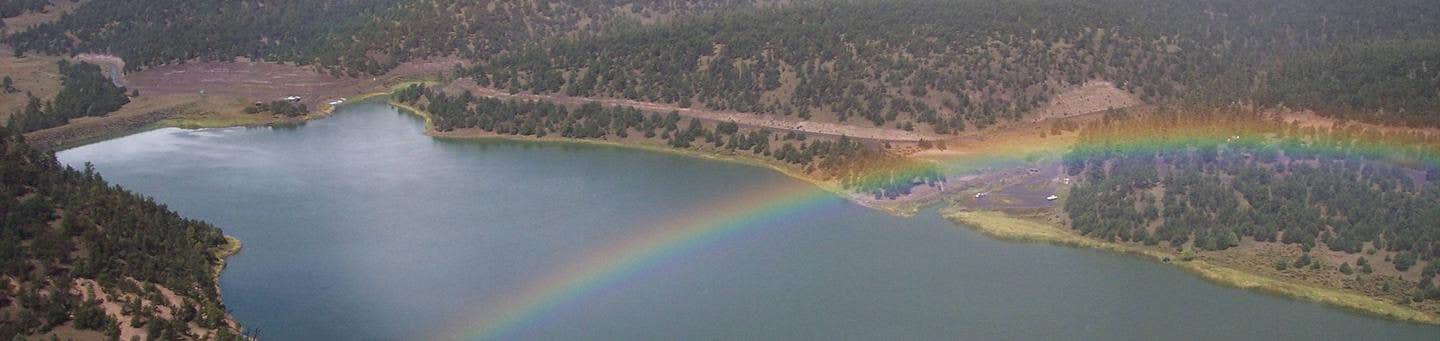 Camper submitted image from Juniper Campground (Quemado Lake) — Gila National Forest - 1