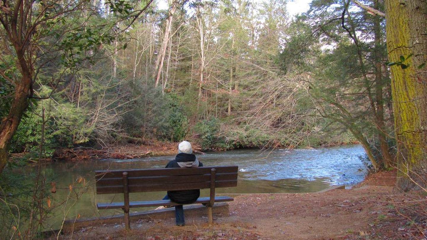 Camper submitted image from Deep Hole Recreation Area — Chattahoochee Oconee National Forest - 2