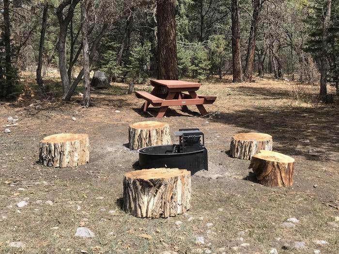 Camper submitted image from El Rito Campground Group Shelter — Carson National Forest - 3