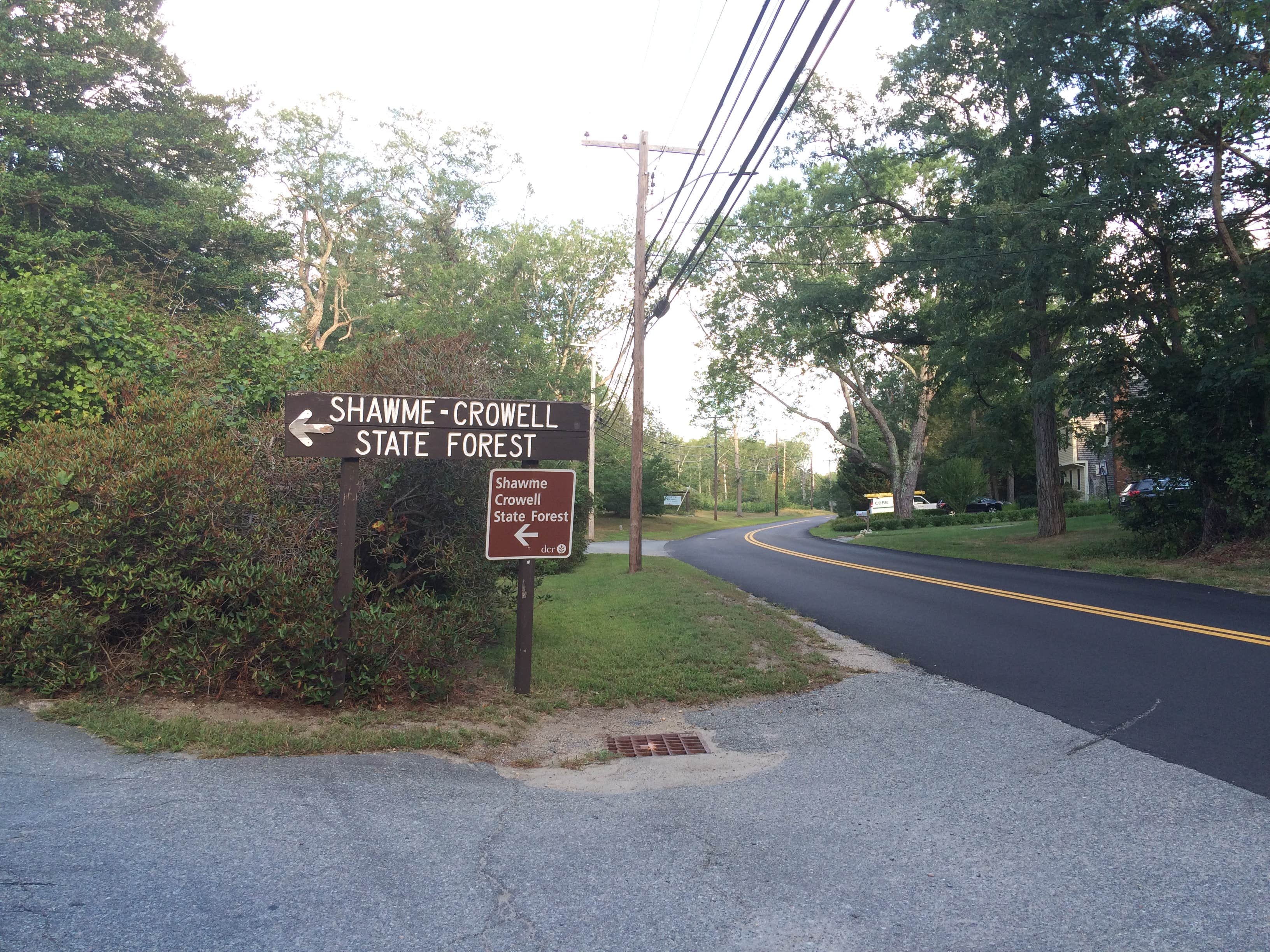 Camper submitted image from Shawme Crowell State Forest - 3