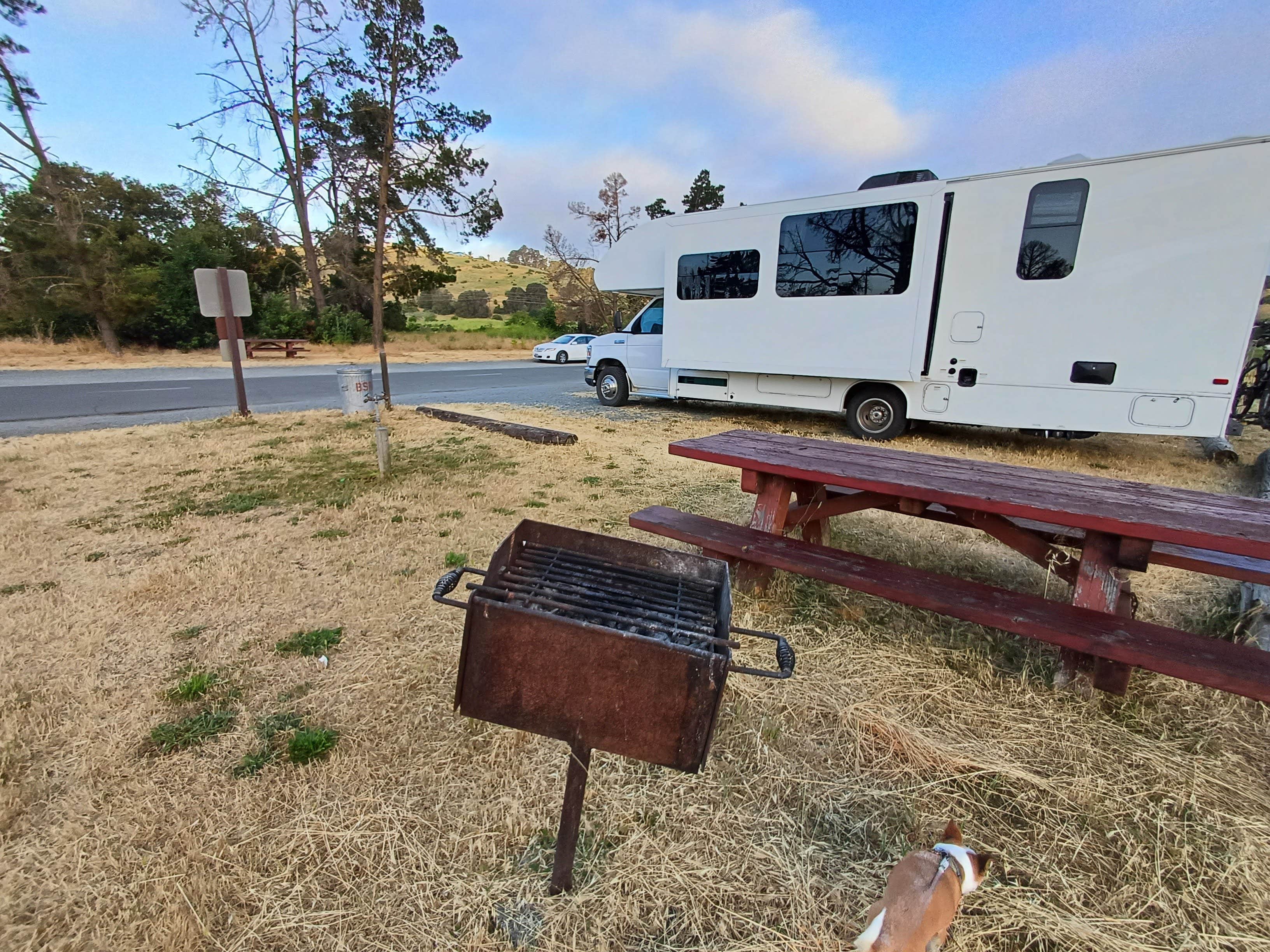 Camper submitted image from Benicia State Recreation Area - 4