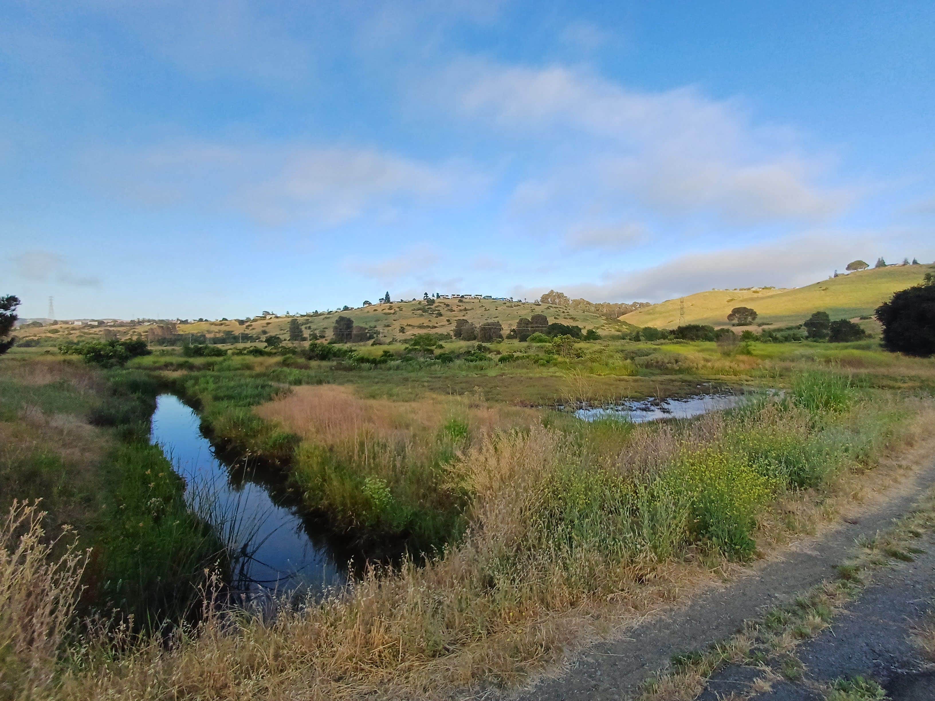 Camper-submitted photo at Benicia State Recreation Area near Martinez, CA