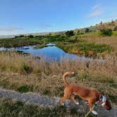 Review photo of Benicia State Recreation Area by Laura M., August 3, 2024